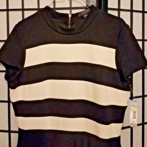 Metaphor Black White Striped Dress Women's Size 14